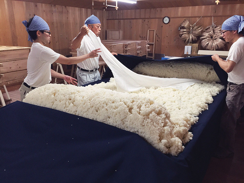 FUKUSHIMA_SG11_Prepping_the_sake_rice_at_Daishichi_Brewery